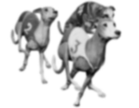 Dogs Tło gry