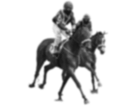 Horses Tło gry