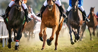 Horses
